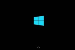 在Windows 10上打开Windows 10X启动动画