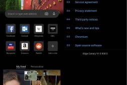 Microsoft Edge Canary现已在Google Play商店中