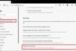 如何在Microsoft Edge中启用地址栏建议