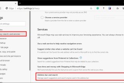 如何在Microsoft Edge中启用地址栏建议