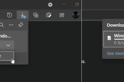 在Microsoft Edge中启用或禁用新的下载弹出