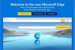 Microsoft Edge甚至通过Chrome Web Store都支持可下载的主题,从而增加了更多自定义设置