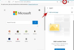 如何在c中的集合中添加注释/页面