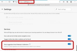 Microsoft Edge如何从Pinterest获得建议