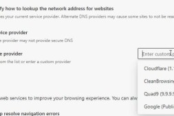 Microsoft Edge禁用备用DNS提供程序来解决性能问题