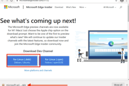 在Ubuntu上安装Microsoft Edge:如何在Linux上安装和删除Microsoft Edge浏览器