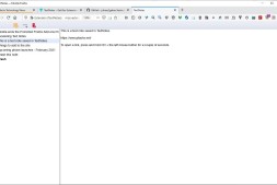 在新标签中写笔记,并使用适用于Firefox的TextNotes扩展名将其保存在本地