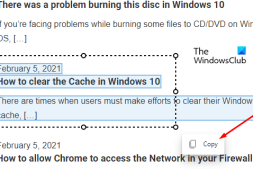 如何在Microsoft Edge中使用Smart Copy
