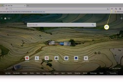 如何在Microsoft Edge上删除单个收藏夹