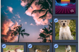 Adobe Flash,Microsoft Edge(旧版)和Skype for Business即将退休