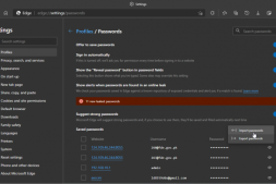 Microsoft Edge Canary现在允许用户从CSV文件导入密码