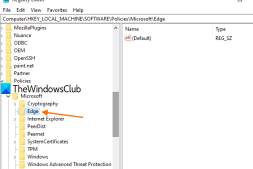 使用Windows 10注册表在Microsoft Edge中启用或禁用来宾模式