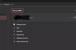 如何使用设置来自定义新的Microsoft Edge浏览器