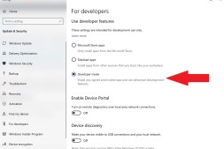如何在Windows 10上安装Dell Mobile Connect
