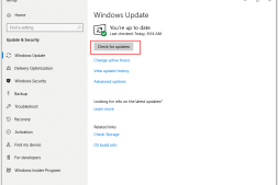 停止“正在使用Microsoft Edge进行共享”弹出窗口