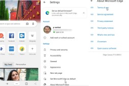 适用于Android的Microsoft Edge Canary可在Play商店下载