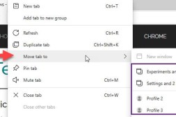 Microsoft使在Edge窗口之间移动标签更加容易