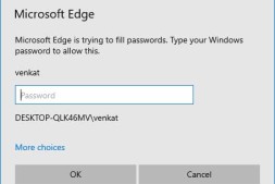 Microsoft Edge获取密码自动填充的身份验证选项