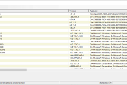 Bloatware Removal Tool:删除预装的 Windows 应用程序等