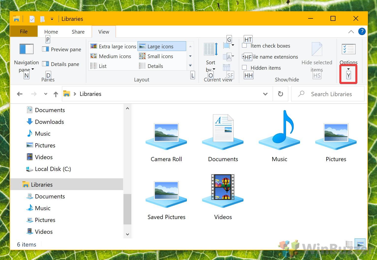 04.1-Windows-10-File-Explorer-View-AltV-Y