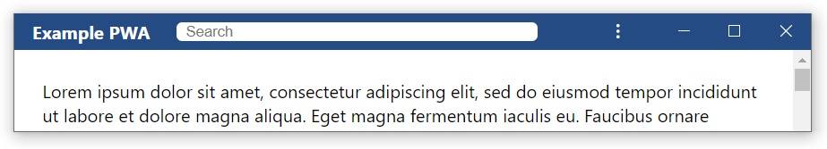PWA-search-bar