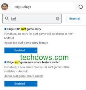 Edge-NTP-surf-game-entry-flag-288x300-1